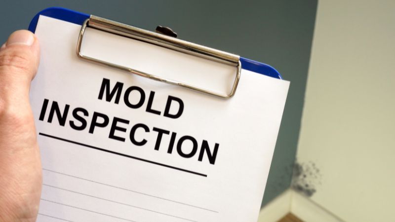 mold sampling and analysis
